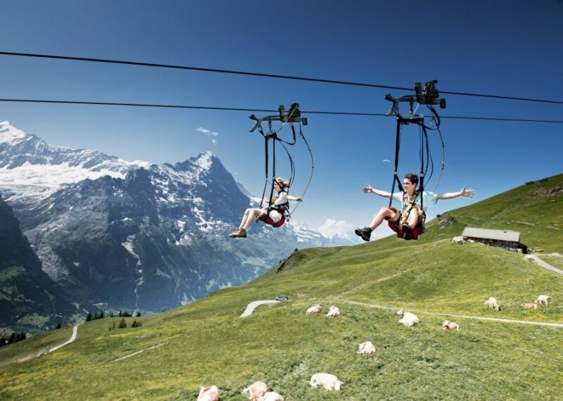 Grindelwald Gondola Ride to Mount First - The Sum Up