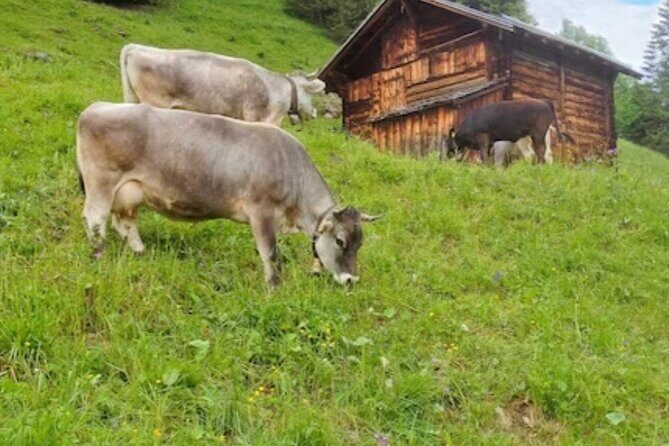 Grindelwald, Lauterbrunnen and Swiss Alps region - FAQs