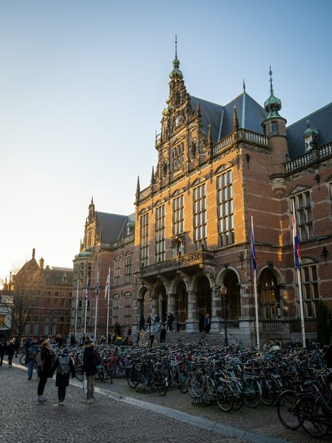 Groningen: Walking Tour with Local Guide - Who Would Love This Tour?