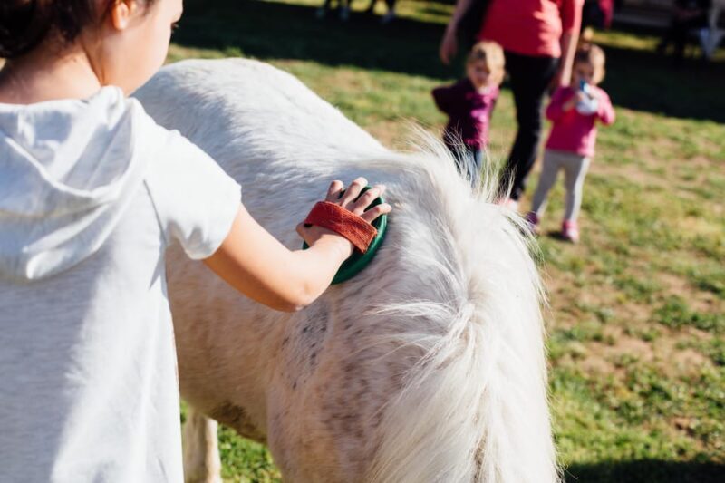 Grosseto: visit the family farm with tasting of local food - The Sum Up: Who is This Experience Best For?