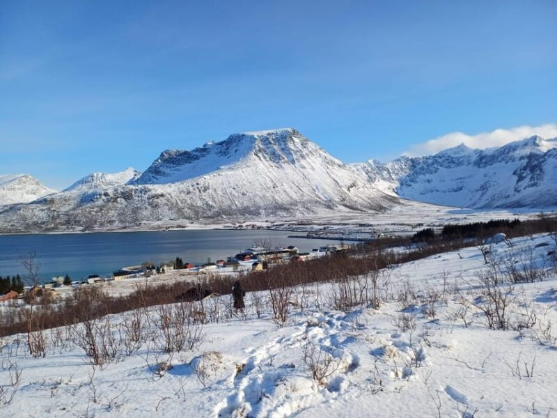 Grøtfjord, Tromsø. Unique Artic scenic route. - An In-Depth Look at the Arctic Scenic Tour