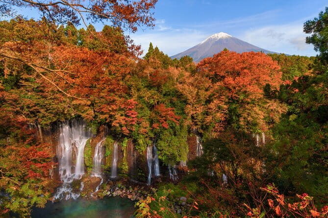 Group 1 Day Tour of Mt. Fuji and Hakone: Onsen, Arts, and Nature - A Deep Dive into the Experience
