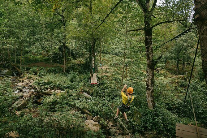 Group Hiking Tour in Mtirala National Park - Who Should Book This Tour?