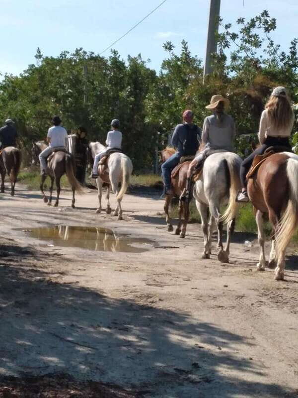 Group horseback ride on Holbox Island, Quintana Roo - Who Will Love This Tour?