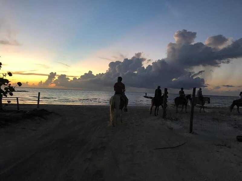 Group horseback ride on Holbox Island, Quintana Roo - Summary