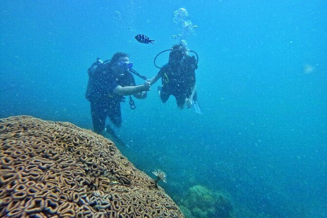 [GROUP] SCUBA DIVING For Beginners in Phu Quoc Island (TRY DIVE) - An In-Depth Look at the Phu Quoc Snorkeling & Scuba Experience