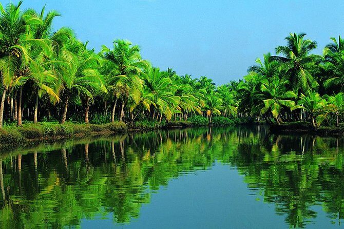 Group Shore Excursion from Cochin Port - A Deep Dive into the Experience