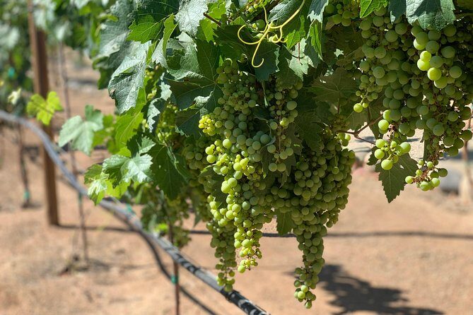 Group tour - Final Thoughts