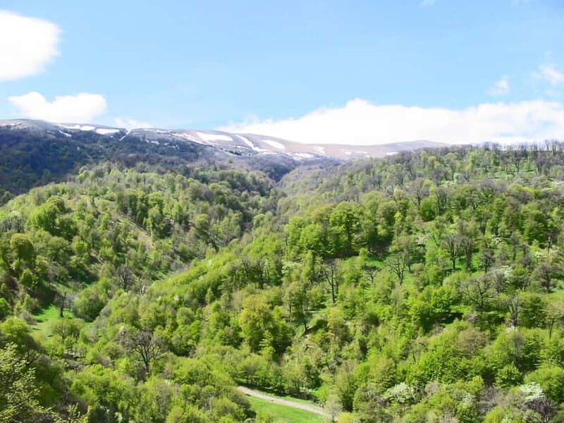 Group Tour: Dilijan, Parz Lake, Makaravank, wine factory - FAQs