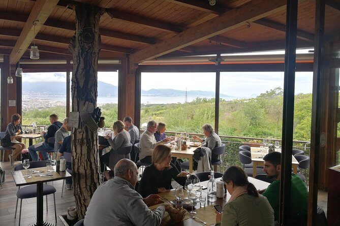 Group tour for wine & food tasting at the Cantina del Vesuvio. - Who Should Consider This Tour?