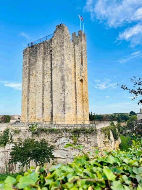 Group Tour: Saint Emilion Walking Tour+Wine tasting in cave - The Highlight: Wine Tasting in the Cave