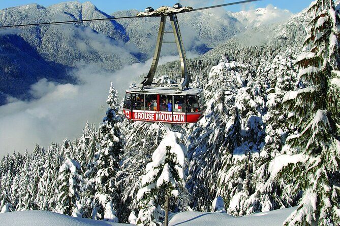 Grouse Mountain Admission Ticket - What to Expect When Visiting Grouse Mountain