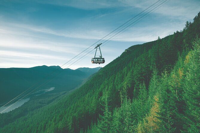 Grouse Mountain Admission Ticket - Practical Tips for Visitors