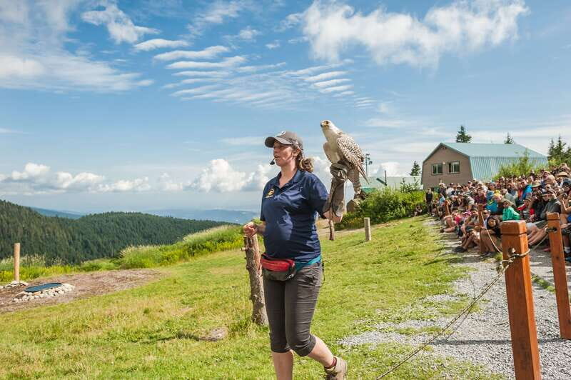 Grouse Mountain, Capilano Bridge & Fish Hatchery Tour - The Highlights in Detail