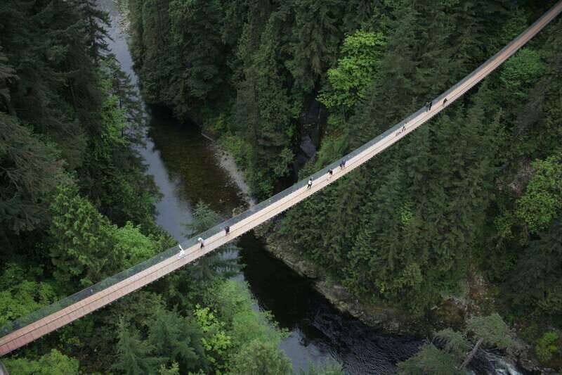 Grouse Mountain, Capilano Bridge & Fish Hatchery Tour - Final Thoughts: Who Will Love This Tour?