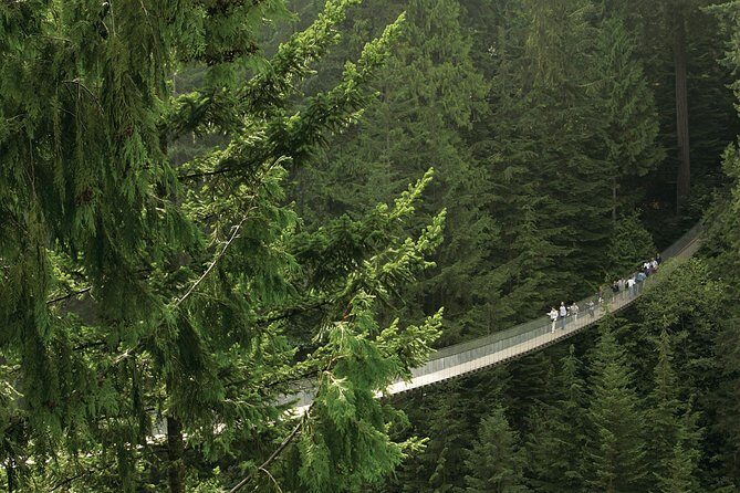 Grouse Mountain & Capilano Bridge Tour with Fish Hatchery - A Balanced Look at the Tour
