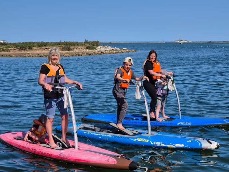 Gruissan: aquastepper rental (a mix of paddleboarding and stepper) - How the Activity Works