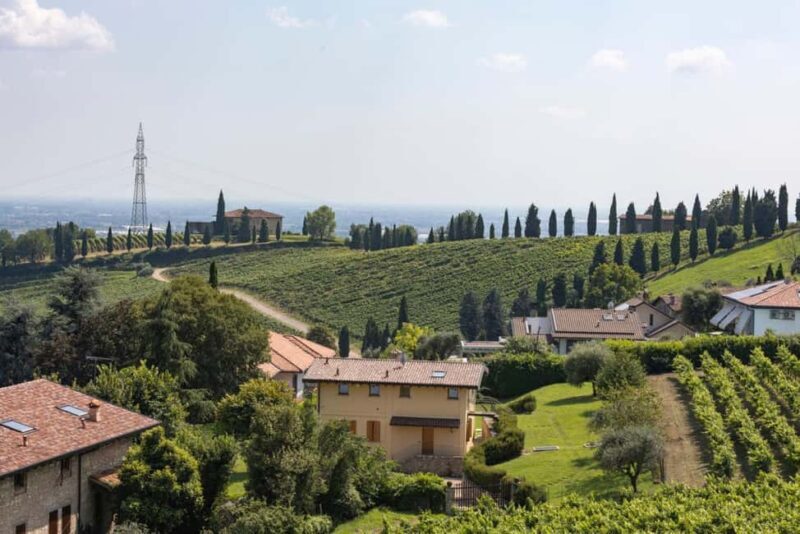 Grumello: Wine Tasting Tour at Historic Family Winery - Who Will Love This Tour?