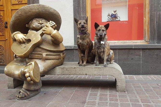 Guadalajara and Tlaquepaque Culture and Shopping - Who Is This Tour Best For?