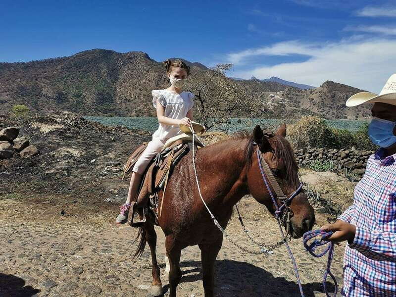 Guadalajara: Horse Riding on the Tequila Route with Tastings - Introduction: Why This Tour Stands Out
