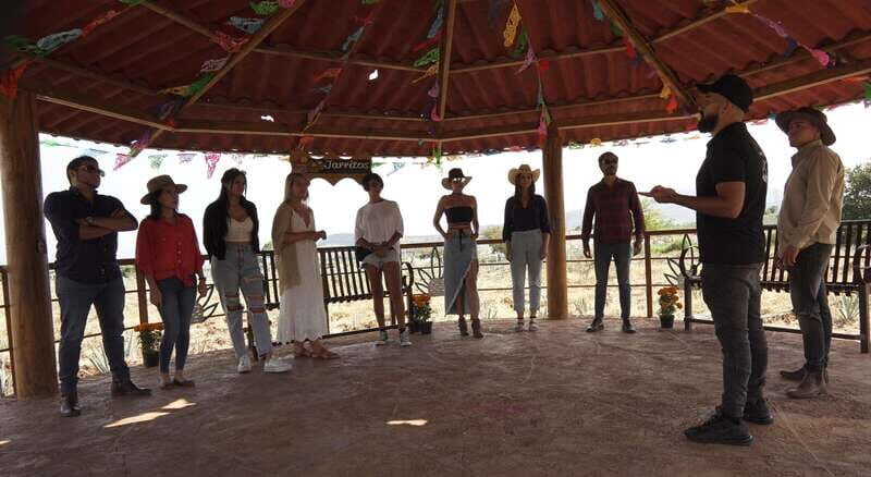 Guadalajara: Premium Tequila Tour with Tastings and Pairings - Key Points