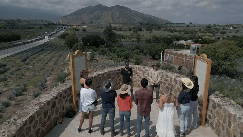 Guadalajara: Premium Tequila Tour with Tastings and Pairings - How the Tour Works in Practice
