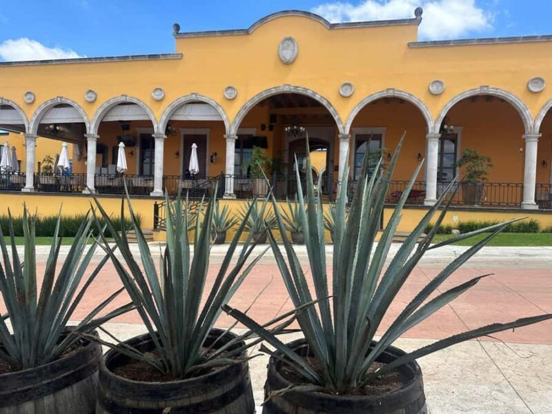 Guadalajara: Secrets of the Highlands Tequila Route - FAQ