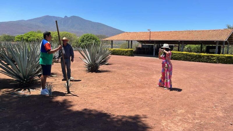 Guadalajara: Tequila Day Trip with Jose Cuervo Option - Final Thoughts: Who Will Love This Tour?