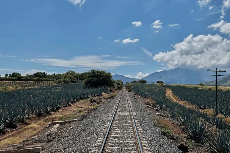 Guadalajara: Tequila Experience at Casa Sauza - Logistics and Practical Details
