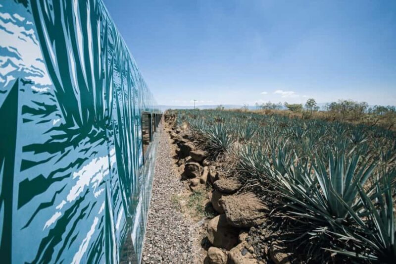 Guadalajara: Tequila Experience at Casa Sauza - Who Will Love This Tour?