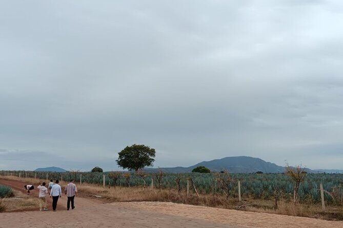 Guadalajara Tequila Tastings Tour - FAQ