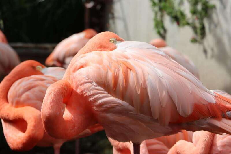 Guadalajara: ticket to Michin Aquarium - Reflection from Visitors