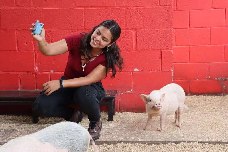 Guadalajara: ticket to Michin Aquarium - Final Thoughts