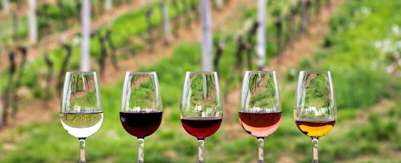 Guadalupe Valley: Complete Wine Route - Tasting Experience