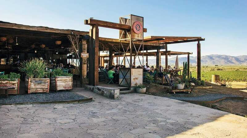 Guadalupe Valley: Complete Wine Route - Authenticity and Local Culture