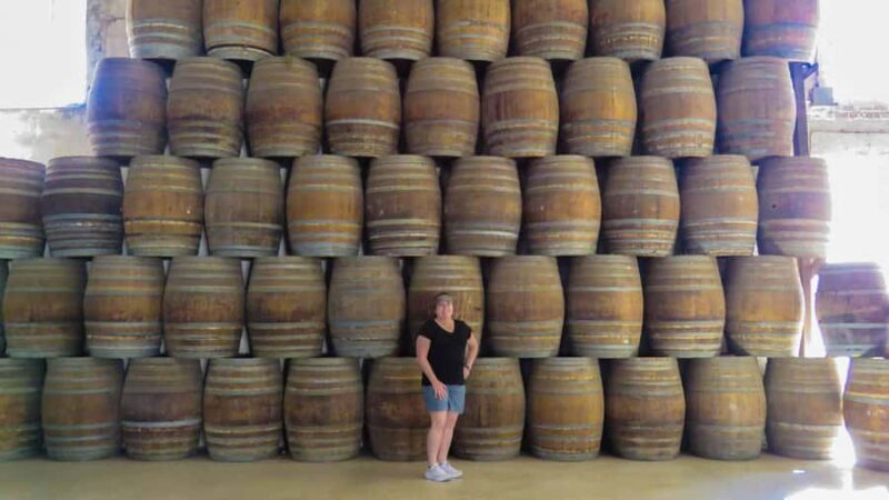 Guadalupe Valley: The Art of Wine, Exclusive Route, and Gourmet Food - An Overview of the Guadalupe Valley Experience