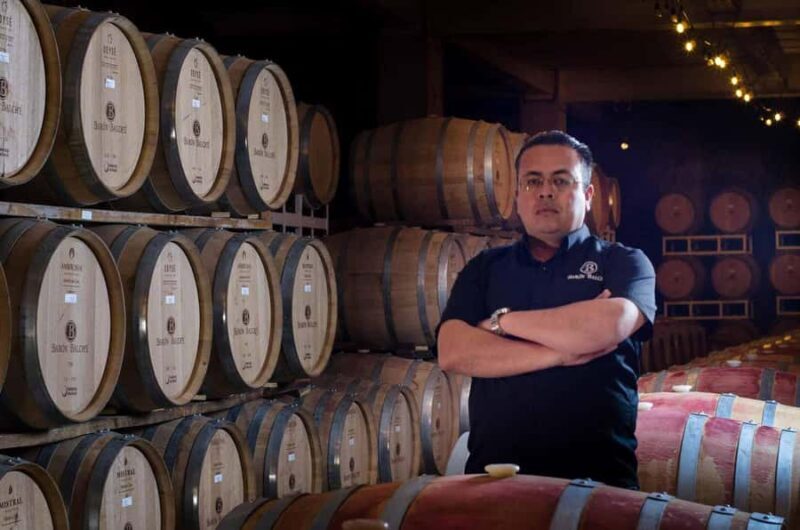 Guadalupe Valley: The Art of Wine, Exclusive Route, and Gourmet Food - Who Would Love This Tour?