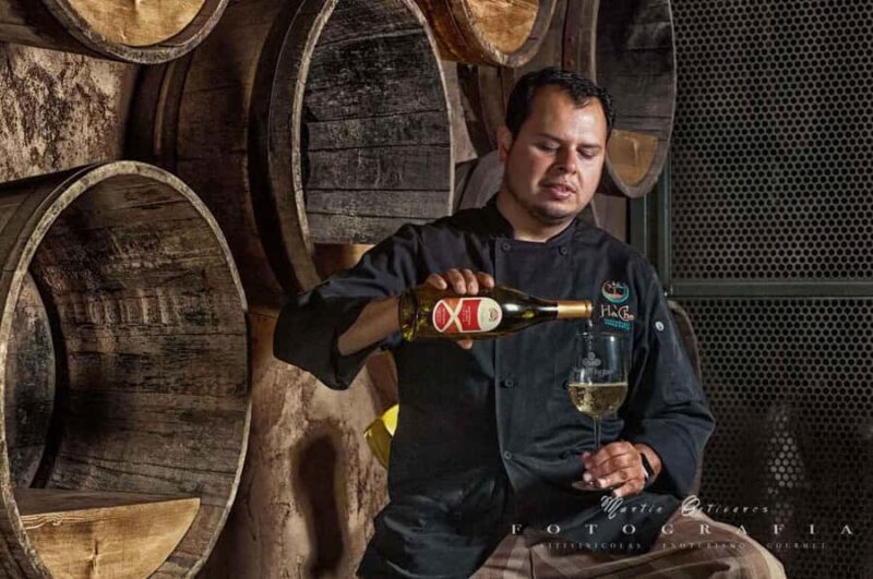 Guadalupe Valley: The Art of Wine, Exclusive Route, and Gourmet Food - FAQs