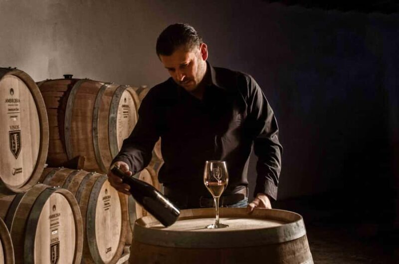 Guadalupe Valley: The Art of Wine, Exclusive Route, and Gourmet Food - Final Thoughts