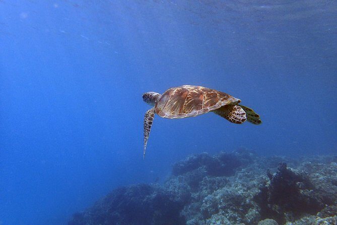 Guam's Best Beach Diving! Beginner and Advanced Dives - FAQ