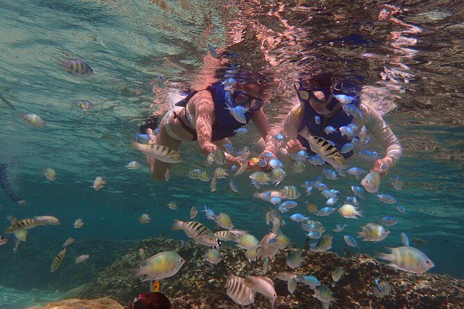 Guam's Private 5 Star Guided Snorkeling Tour! - What You Can Expect on This Guided Snorkeling Tour