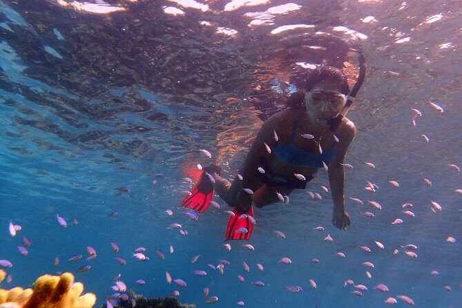 Guam's Private 5 Star Guided Snorkeling Tour! - Authentic Marine Encounters and Expert Guidance