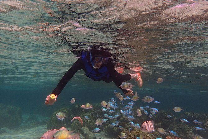 Guam's Private 5 Star Guided Snorkeling Tour! - Facilities and Convenience