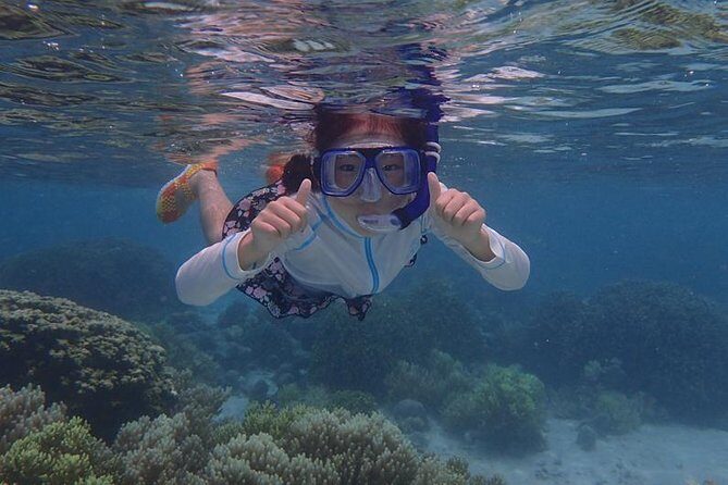 Guam's Private 5 Star Guided Snorkeling Tour! - Timing and Booking Tips