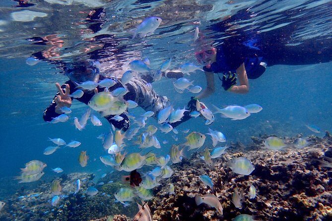 Guam's Private 5 Star Guided Snorkeling Tour! - Frequently Asked Questions
