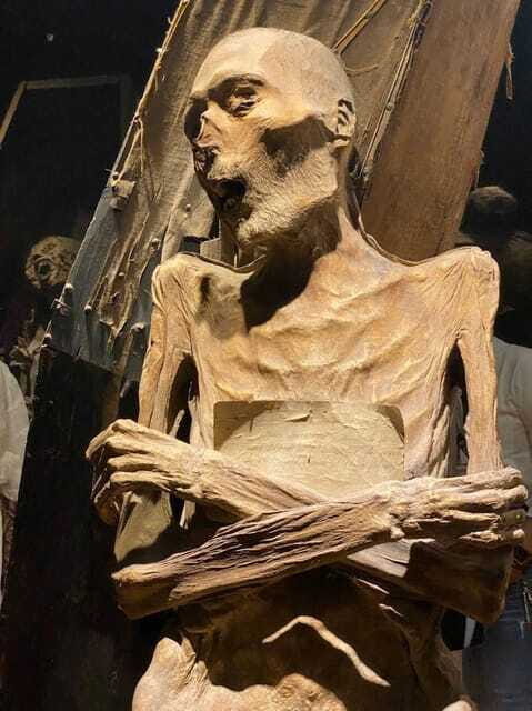 Guanajuato: Culture & History Private Guided Tour - Day Trip - The Sum Up