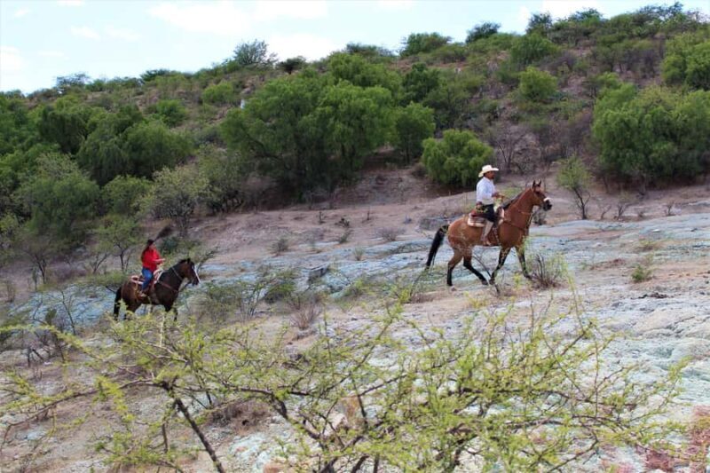 Guanajuato: horse ride tour - A Deeper Look at the Guanajuato Horse Ride Tour
