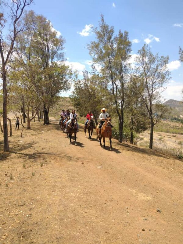 Guanajuato: horse ride tour - Who Will Love This Tour?