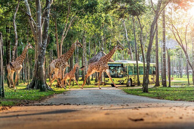 Guaranteed Departures: Vinpearl Safari & Countryside Pepper Farm - Authentic Insights from Reviewers