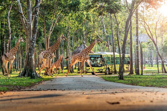 Guaranteed Departures: Wild & Wonderful! VinWonders & Safari Park - The Sum Up